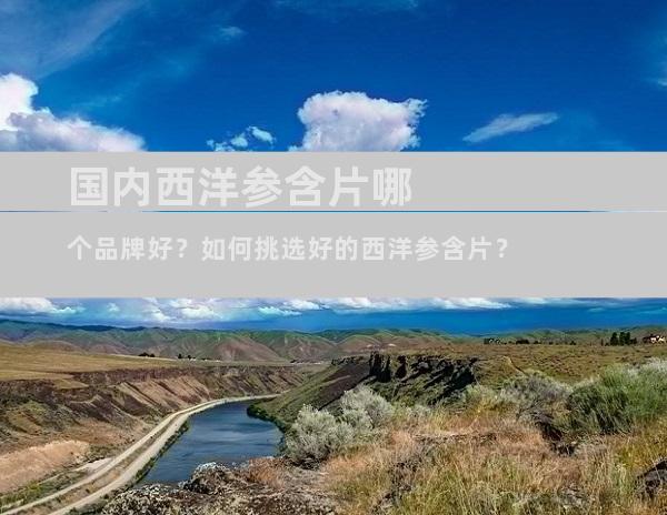 国内西洋参含片哪个品牌好？如何挑选好的西洋参含片？