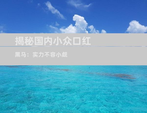 揭秘国内小众口红黑马：实力不容小觑